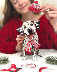 Holiday Dalmatian Pop-Up Card