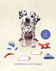 Holiday Dalmatian Pop-Up Card