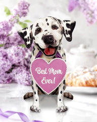Mother's Day Dalmatian Pop-Up Card