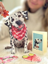 Dalmatian Pop-Up Card