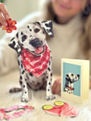 Dalmatian Pop-Up Card