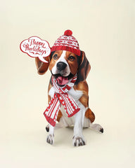 Holiday Beagle Pop-Up Card