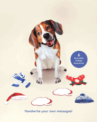Holiday Beagle Pop-Up Card