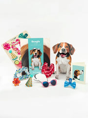 Beagle Pop-Up Card