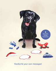 Holiday Black Lab Pop-Up Card