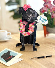 Black Lab Pop-Up Card
