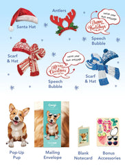 Holiday Corgi Pop-Up Card