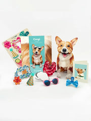 Corgi Pop-Up Card