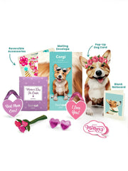 Mother's Day Corgi Pop-Up Card