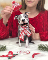 Holiday Pit Bull Pop-Up Card