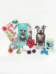 Pit Bull Pop-Up Card