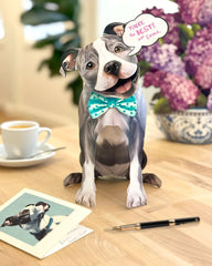 Pit Bull Pop-Up Card
