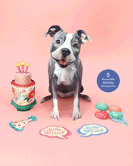 Birthday Pit Bull Pop-Up Card
