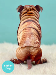 English Bulldog Pop-Up Card