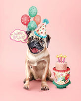 Birthday Pug Pop-Up Card