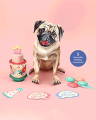 Birthday Pug Pop-Up Card