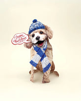 Holiday Poodle Pop-Up Card