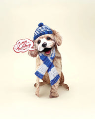 Holiday Poodle Pop-Up Card