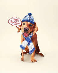 Holiday Golden Retriever Pop-Up Card