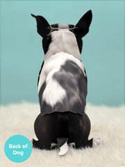 Boston Terrier Pop-Up Card
