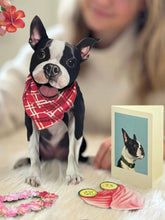 Boston Terrier Pop-Up Card