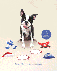 Holiday Boston Terrier Pop-Up Card