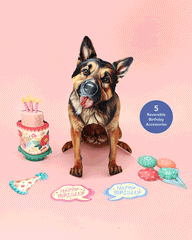 Birthday German Shepherd Pop-Up Card