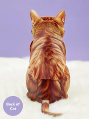 Orange Tabby Cat Pop-Up Card
