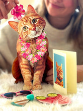 Orange Tabby Cat Pop-Up Card