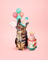 Birthday Brown Tabby Cat Pop-Up Card