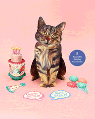Birthday Brown Tabby Cat Pop-Up Card