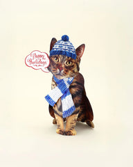 Holiday Brown Tabby Cat Pop-Up Card