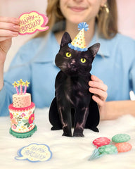 Birthday Black Cat Pop-Up Card