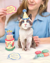 Birthday Ragdoll Cat Pop-Up Card