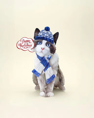 Holiday Ragdoll Cat Pop-Up Card