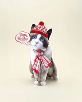 Holiday Ragdoll Cat Pop-Up Card