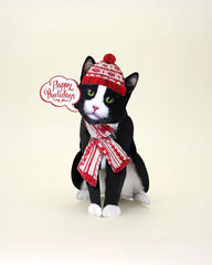 Holiday Tuxedo Cat Pop-Up Card