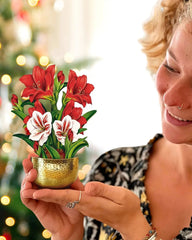 Mini Christmas Scarlet Amaryllis Pop-Up Card