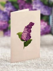 Mini Garden Lilacs Pop-Up Card