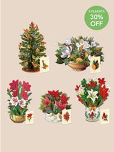 Classic Winter Wonder Bundle