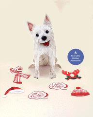 Holiday Westie Pop-Up Card
