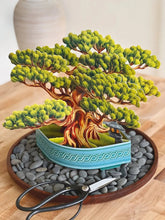 Wisdom Bonsai