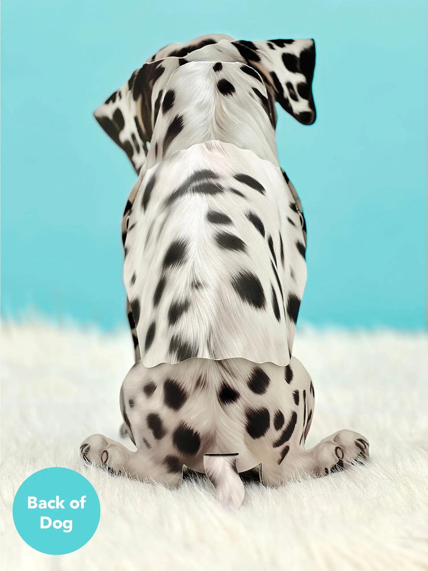 Dalmatian Pop-Up Card