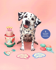 Birthday Dalmatian Pop-Up Card
