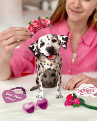 Mother's Day Dalmatian Pop-Up Card
