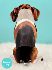 Beagle Pop-Up Card