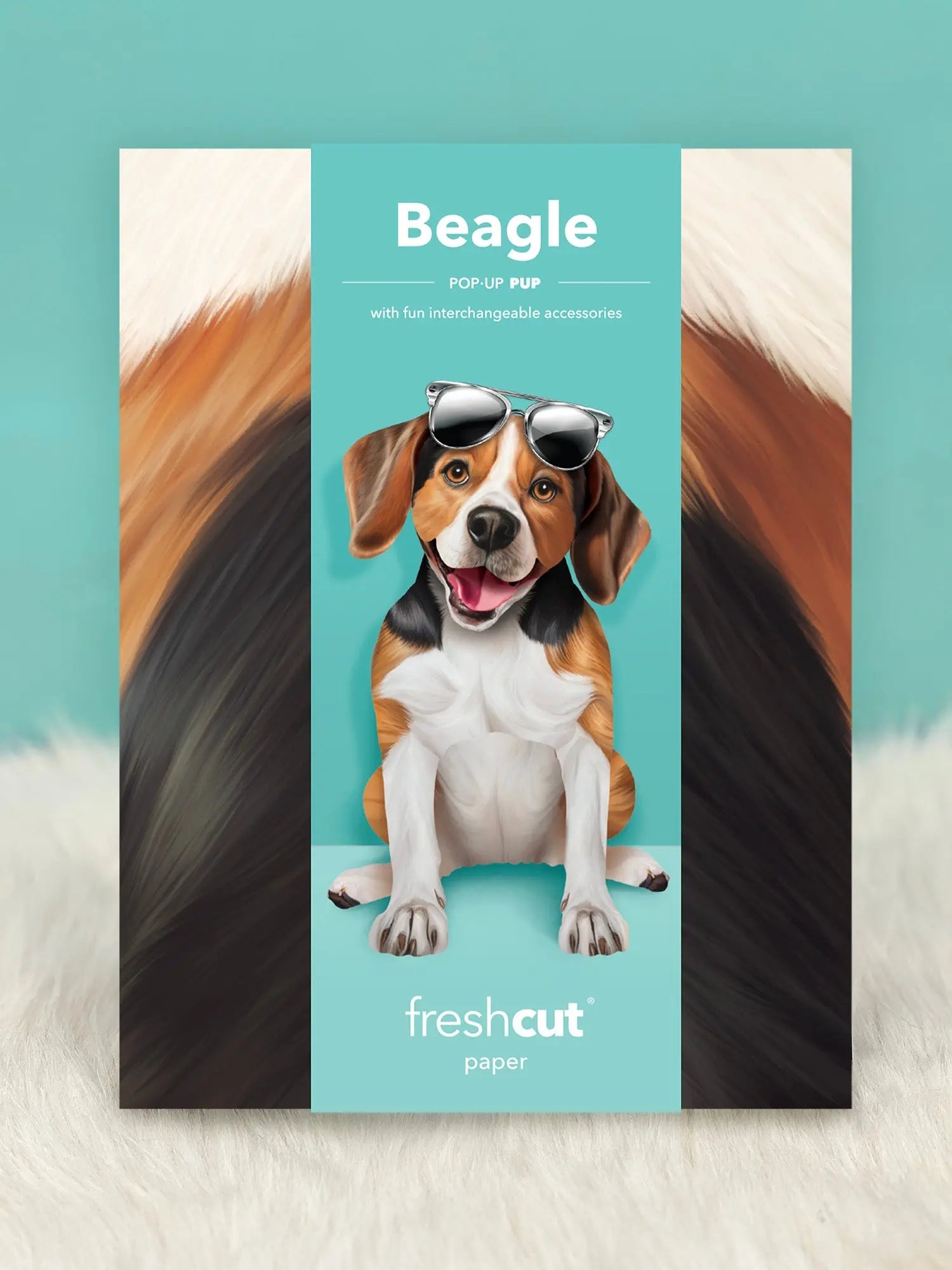 Beagle Pop-Up Card