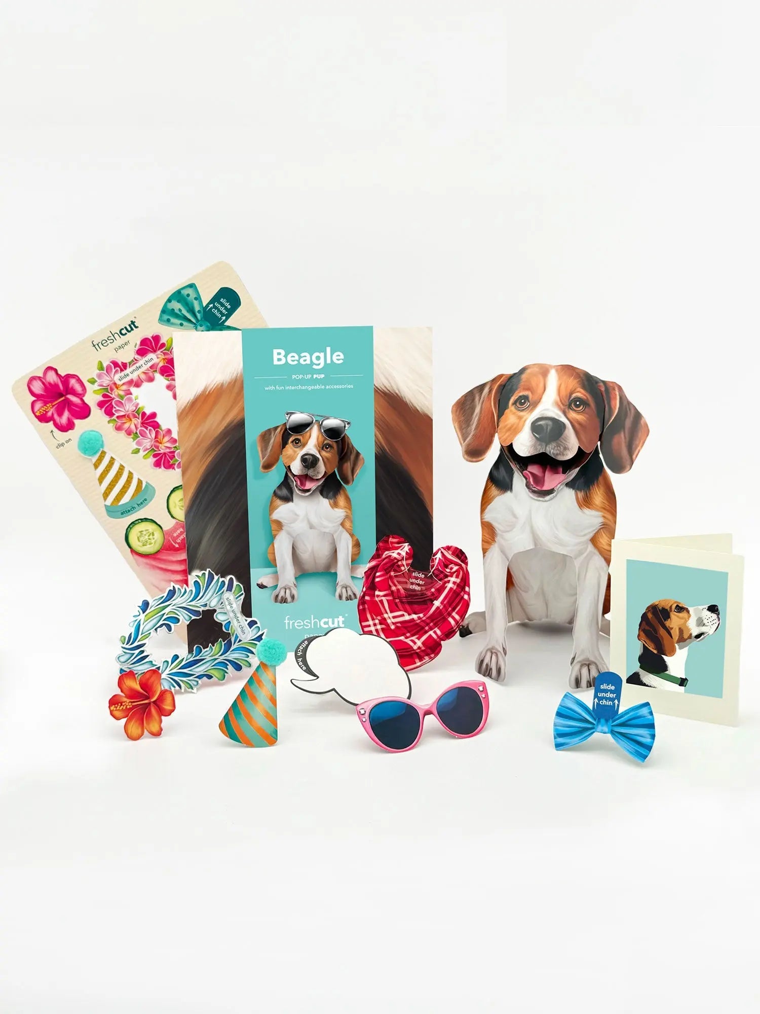 Beagle Pop-Up Card