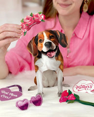 Mother's Day Beagle Pop-Up Card