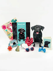 Black Lab Pop-Up Card